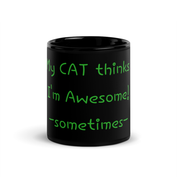 Awesome Cat - sometimes